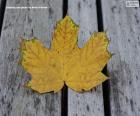 пазл Желтоватый лист осень